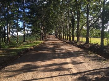 Blackwattle Farm B&B And Farm Stay - Great Ocean Road Tourism 46