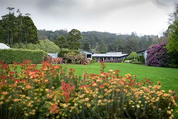 CountryPlace - Great Ocean Road Tourism 8