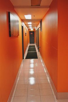 Jackaroo Hostel Sydney - Great Ocean Road Tourism 13
