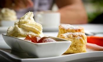 Riverwood Downs Mountain Valley Resort - Great Ocean Road Tourism 1