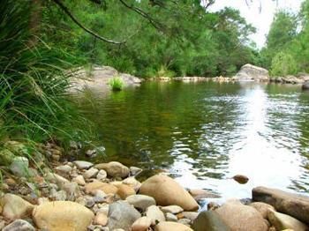 Riverwood Downs Mountain Valley Resort - Great Ocean Road Tourism 9