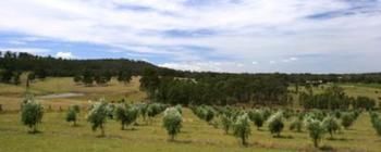 Hunter Homestead - Great Ocean Road Tourism 7