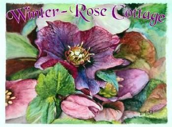 A Winter-rose Cottage B&B - Great Ocean Road Tourism 0