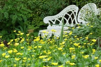 A Winter-rose Cottage B&B - Great Ocean Road Tourism 4