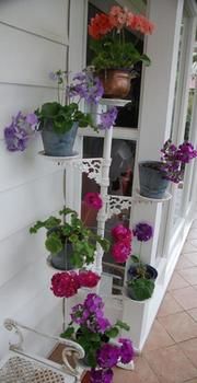 A Winter-rose Cottage B&B - Great Ocean Road Tourism 5