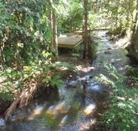 Treetops Accommodation Montville - Great Ocean Road Tourism