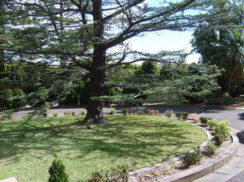 Tantarra Bed And Breakfast - Great Ocean Road Tourism 14