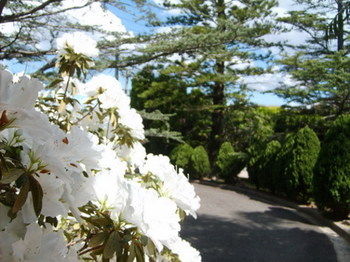Tantarra Bed And Breakfast - Great Ocean Road Tourism 15