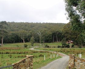Adventure Bay Retreat Accommodation - Great Ocean Road Tourism 2