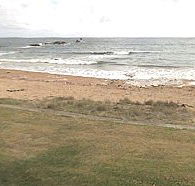 Penguin Caravan Park - Great Ocean Road Tourism