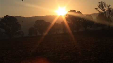 Gentle Annie Caravan And Camping Reserve - Great Ocean Road Tourism 1
