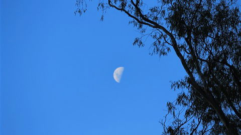 Gentle Annie Caravan And Camping Reserve - Great Ocean Road Tourism 4