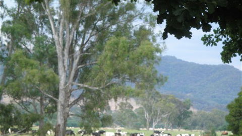 Gentle Annie Caravan And Camping Reserve - Great Ocean Road Tourism 3