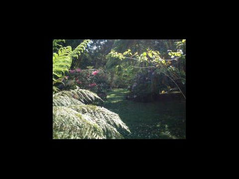 A Country House At Winstanley - Great Ocean Road Tourism 4