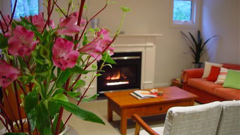 Around About Lorne Studios Or B&B - Great Ocean Road Tourism 4