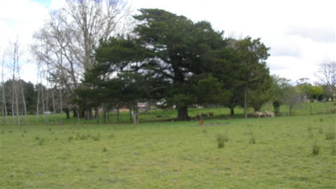 Auberge Woodend - Great Ocean Road Tourism 3