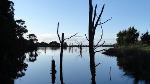 A Fare With Nature @ Prom Road Farm - Great Ocean Road Tourism 6