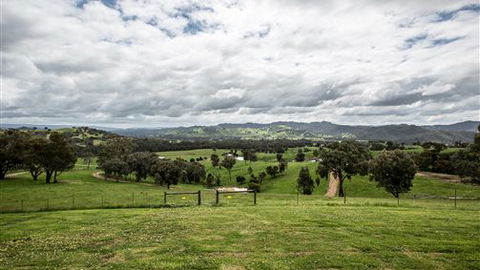 Holmesglen At Eildon - The Homestead - Great Ocean Road Tourism 3