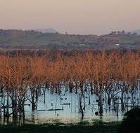 Salisbury - Great Ocean Road Tourism