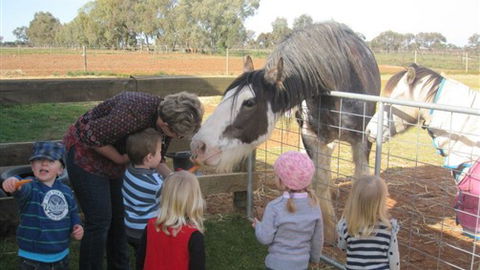 Cabarita Lodge - Great Ocean Road Tourism 4