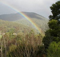 Wattletree Cottage - Great Ocean Road Tourism
