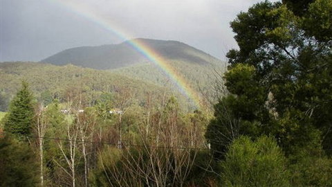Wattletree Cottage - Great Ocean Road Tourism 0