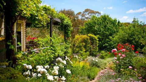 Kookaburra Ridge - Great Ocean Road Tourism 3