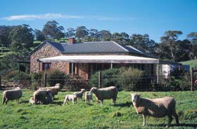 Amanda Stichbury Cottage - Great Ocean Road Tourism 0