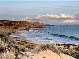 Hillocks Drive Bush Camping - Great Ocean Road Tourism 1