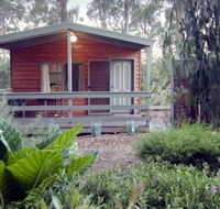 A Maze 'N Things Holiday Park - Great Ocean Road Tourism