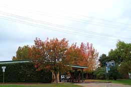 Allambie Motel Pty Ltd - Great Ocean Road Tourism 0
