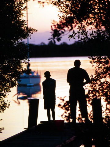 Anchorage Holiday Park - Great Ocean Road Tourism 3