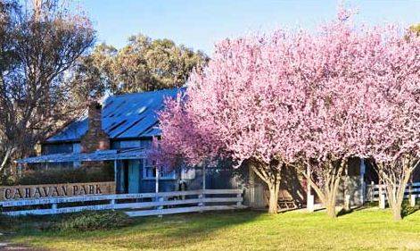 Bushlands Tourist Park - Great Ocean Road Tourism 3