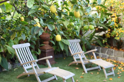 Captains Retreat B&B - Great Ocean Road Tourism 1