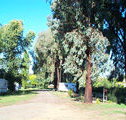 Cudal Caravan Park - Great Ocean Road Tourism