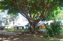 Donnybrook Caravan Park - Great Ocean Road Tourism 1