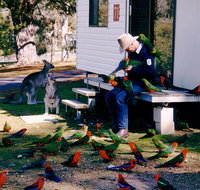 Inland Waters Holiday Parks Burrinjuck - Great Ocean Road Tourism