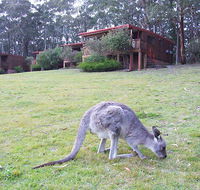 Jenolan Caves Cottages - Great Ocean Road Tourism
