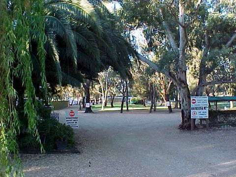 Kingston-On-Murray Caravan Park - Great Ocean Road Tourism 0