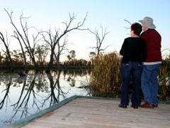 Kingston-On-Murray Caravan Park - Great Ocean Road Tourism 2