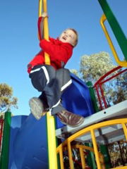 Kingston-On-Murray Caravan Park - Great Ocean Road Tourism 3