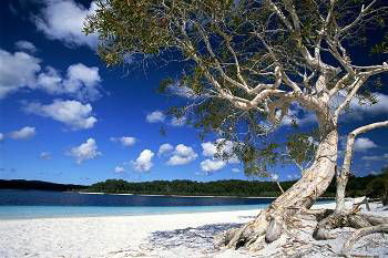 Mercure Kingfisher Bay Resort - Great Ocean Road Tourism 9