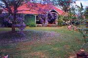 Minmore Farmstay And B&B - Great Ocean Road Tourism 0