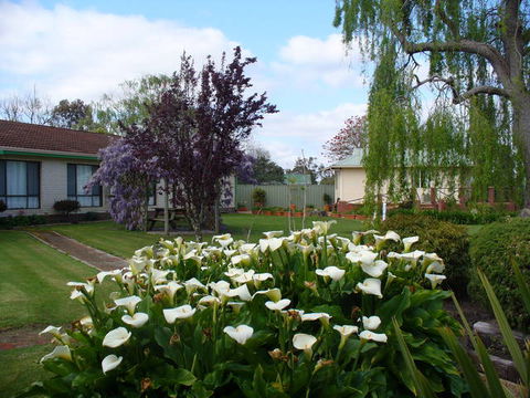 Mount Barker Valley Views Motel And Chalets - Great Ocean Road Tourism 1
