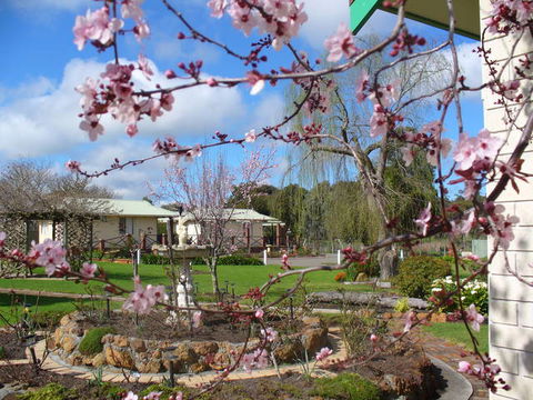 Mount Barker Valley Views Motel And Chalets - Great Ocean Road Tourism 3