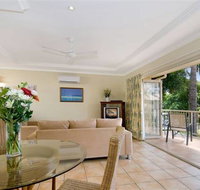 Noosa River Palms