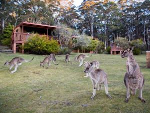 Jenolan Caves Cottages - Great Ocean Road Tourism 1