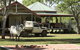 Coodardie Station Stay - thumb 3