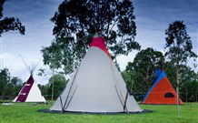 Aranyani Bison Adventure Tourist Park - Great Ocean Road Tourism 1