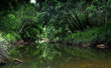 Aranyani Bison Adventure Tourist Park - Great Ocean Road Tourism 3